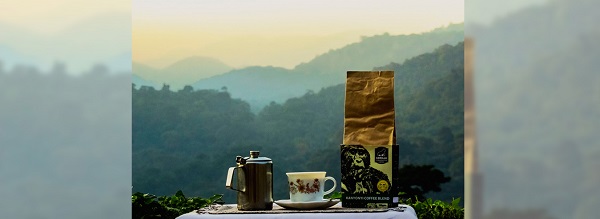 A pack of Arabica Kanyonyi Coffee (right) is seen placed besides a tea container and a cup. (Picture: GCCoffee)